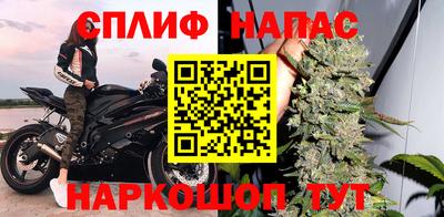 PSILOCYBIN Гусиноозёрск